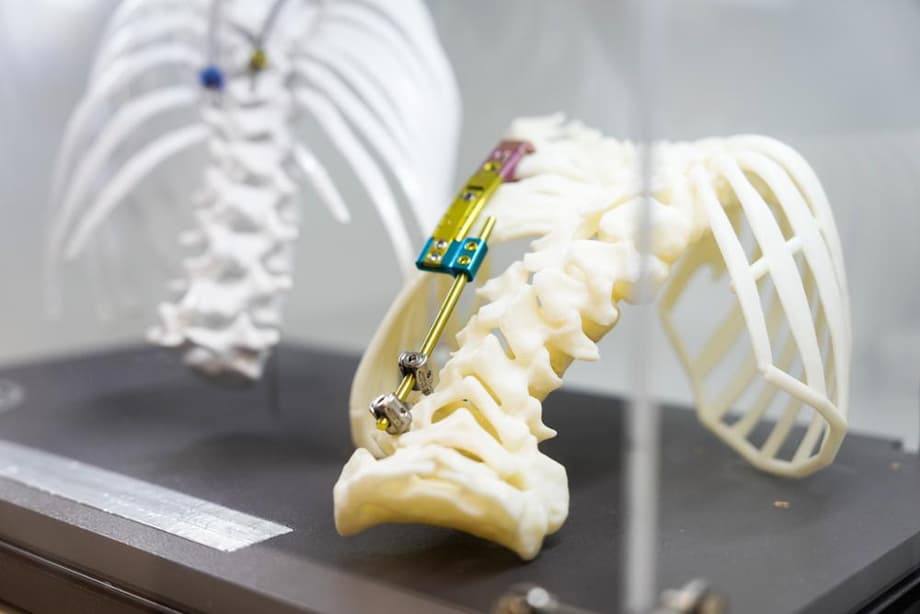 Нашлось место в экспозиции и и передовым реконструктивным хирургическим технологиям