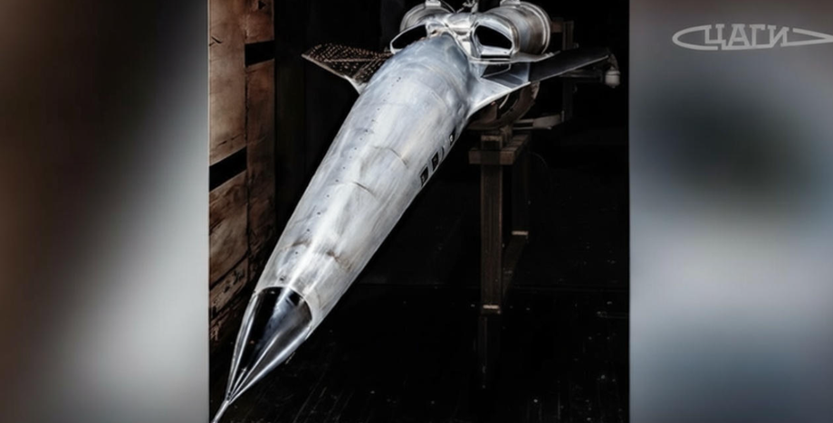 Flying demonstrator "Strizh"