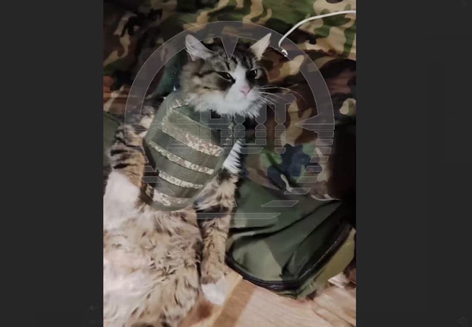 It is noted that this is not mass production, but rather a souvenir item, but the products can save the lives of cats and dogs, just like the "Oberegs" for people