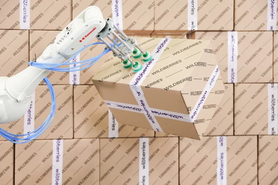 Роборуки на скаладе Wildberries