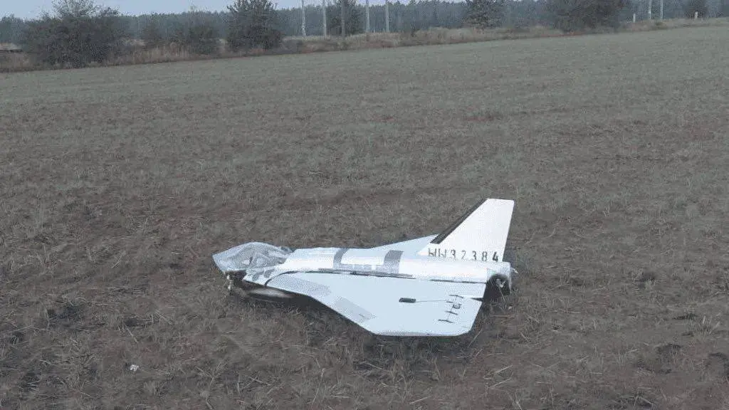 БПЛА «Гербера»